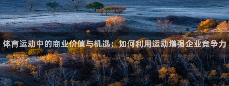 哈哈体育：体育运动中的商业价值与机遇：如何利用运动增强企业竞争力