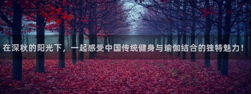 哈哈体育十年：在深秋的阳光下，一起感受中国传统健身与瑜伽结合的独特魅力！