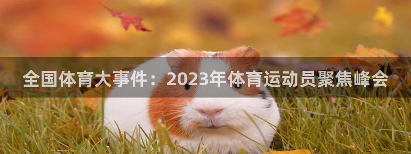 哈哈体育十年：全国体育大事件：2023年体育运动员聚焦峰会