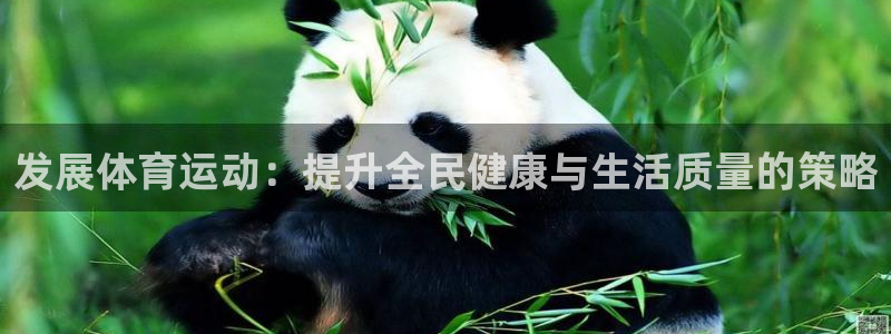 哈哈体育：发展体育运动：提升全民健康与生活质量的策略