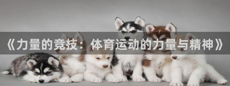 哈哈体育：《力量的竞技：体育运动的力量与精神》