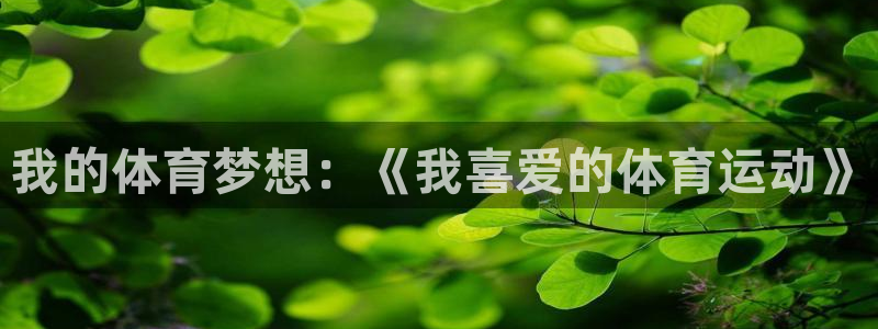 哈哈体育：我的体育梦想：《我喜爱的体育运动》