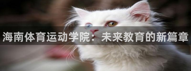 哈哈体育十年：海南体育运动学院：未来教育的新篇章
