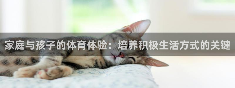 哈哈体育下载：家庭与孩子的体育体验：培养积极生活方式的关键
