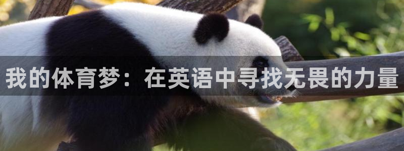 哈哈体育下载：我的体育梦：在英语中寻找无畏的力量