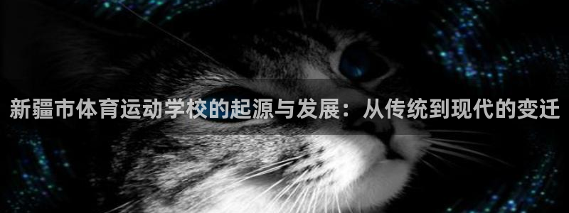 哈哈体育下载：新疆市体育运动学校的起源与发展：从传统到现代的变迁