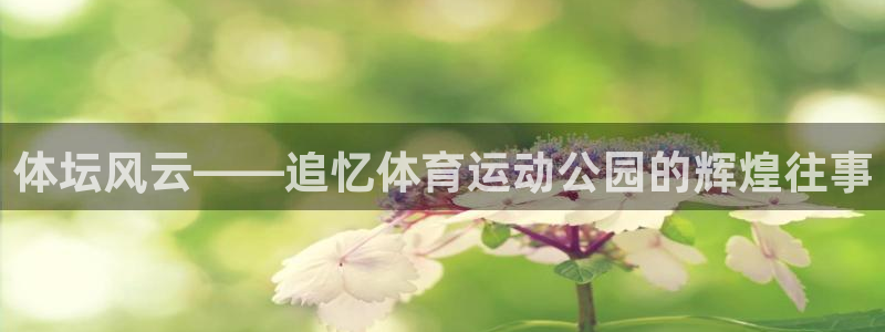 哈哈体育：体坛风云——追忆体育运动公园的辉煌往事