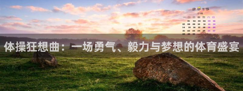 哈哈体育十年：体操狂想曲：一场勇气、毅力与梦想的体育盛宴