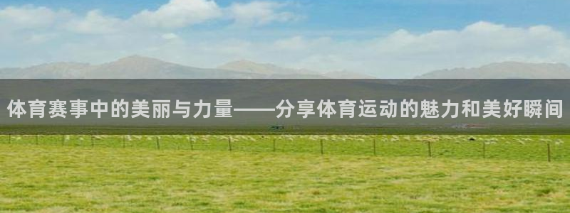 哈哈体育下载