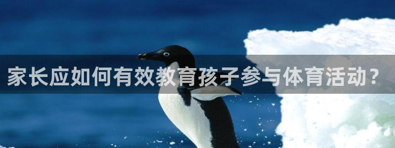 哈哈体育十年